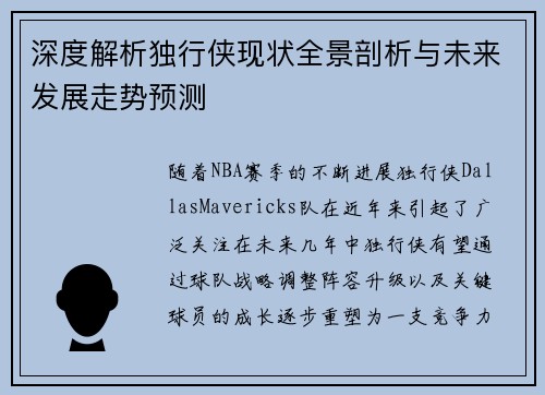 深度解析独行侠现状全景剖析与未来发展走势预测